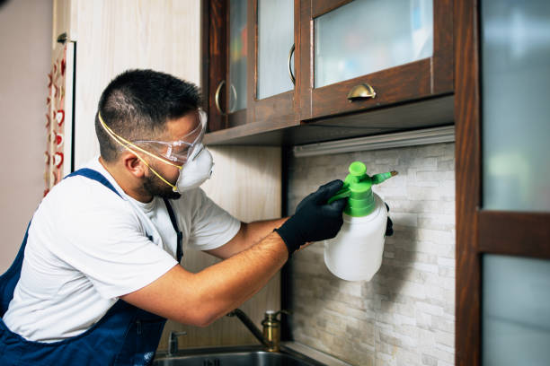 Best Emergency Pest Control  in Oxford, GA