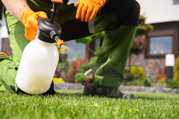 Best Pest Control Treatment  in Oxford, GA