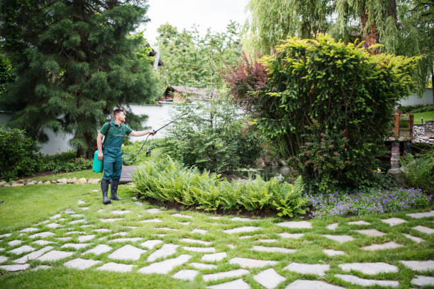 Best Affordable Pest Control Services  in Oxford, GA