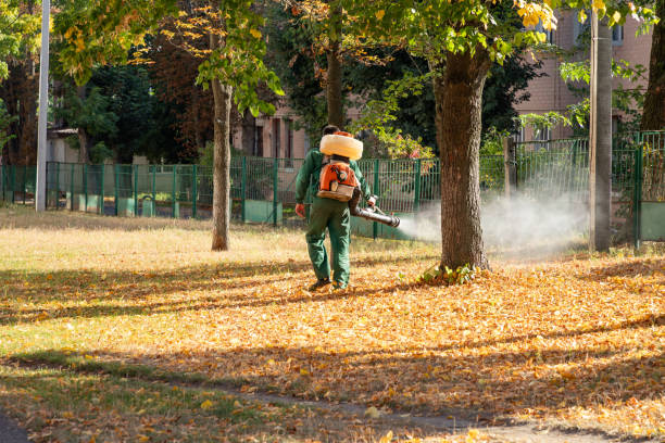 Best Pest Removal Services  in Oxford, GA