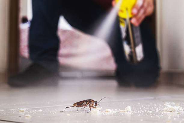 Best Wasp Removal Services  in Oxford, GA